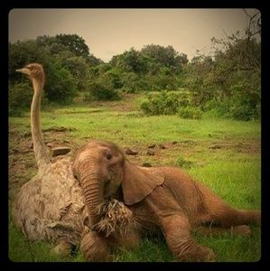 Meet your Posher, Randy